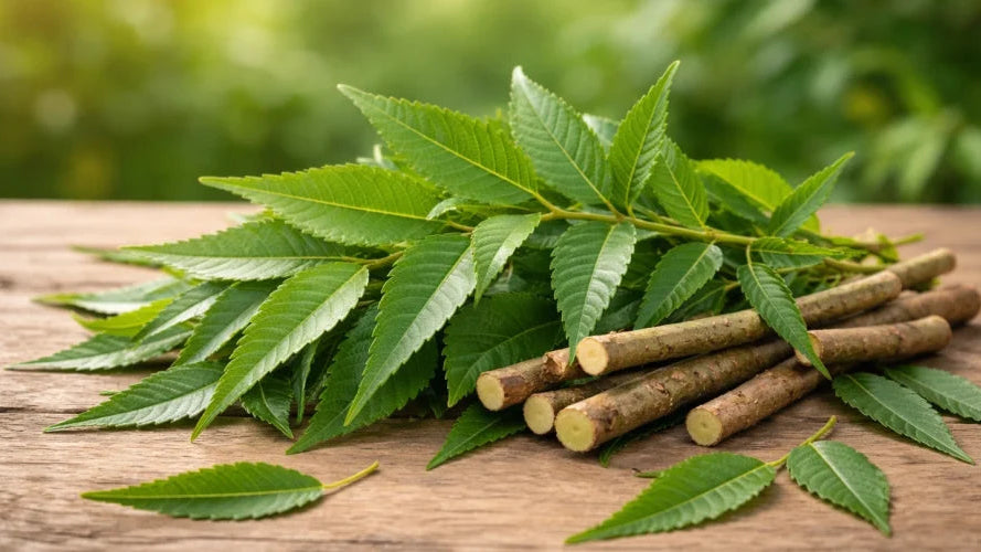 Neem leaves and branches on a wooden surface with a blurred green background