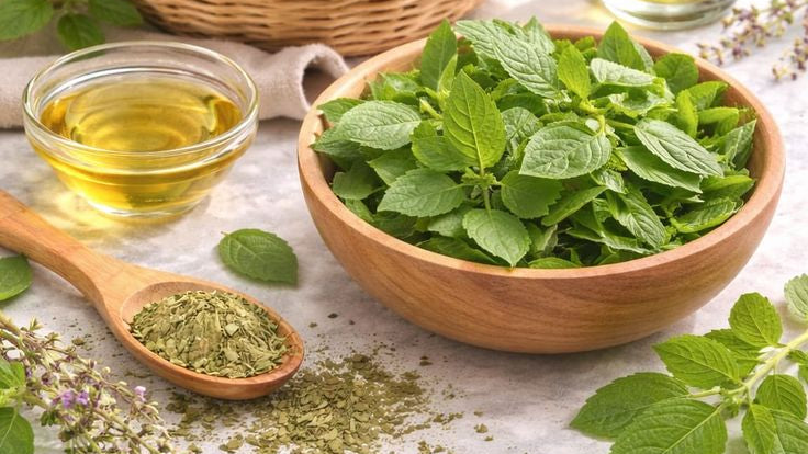 Herbs and oil on a textured surface